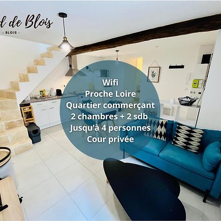 2 Suites, Cour Privee, Climatisation, Le Nid De Blois Vienne Eksteriør bilde