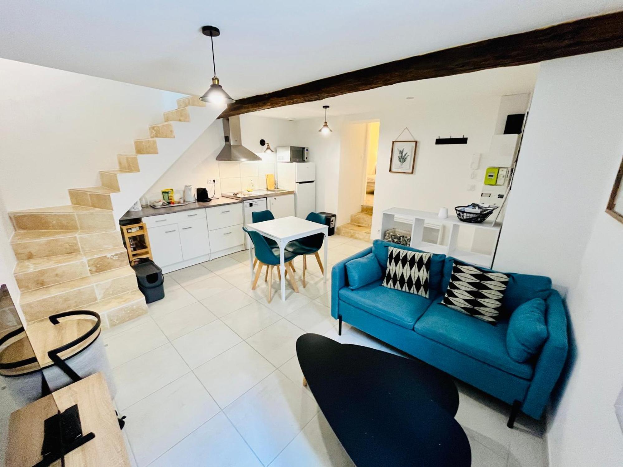 2 Suites, Cour Privee, Climatisation, Le Nid De Blois Vienne Eksteriør bilde