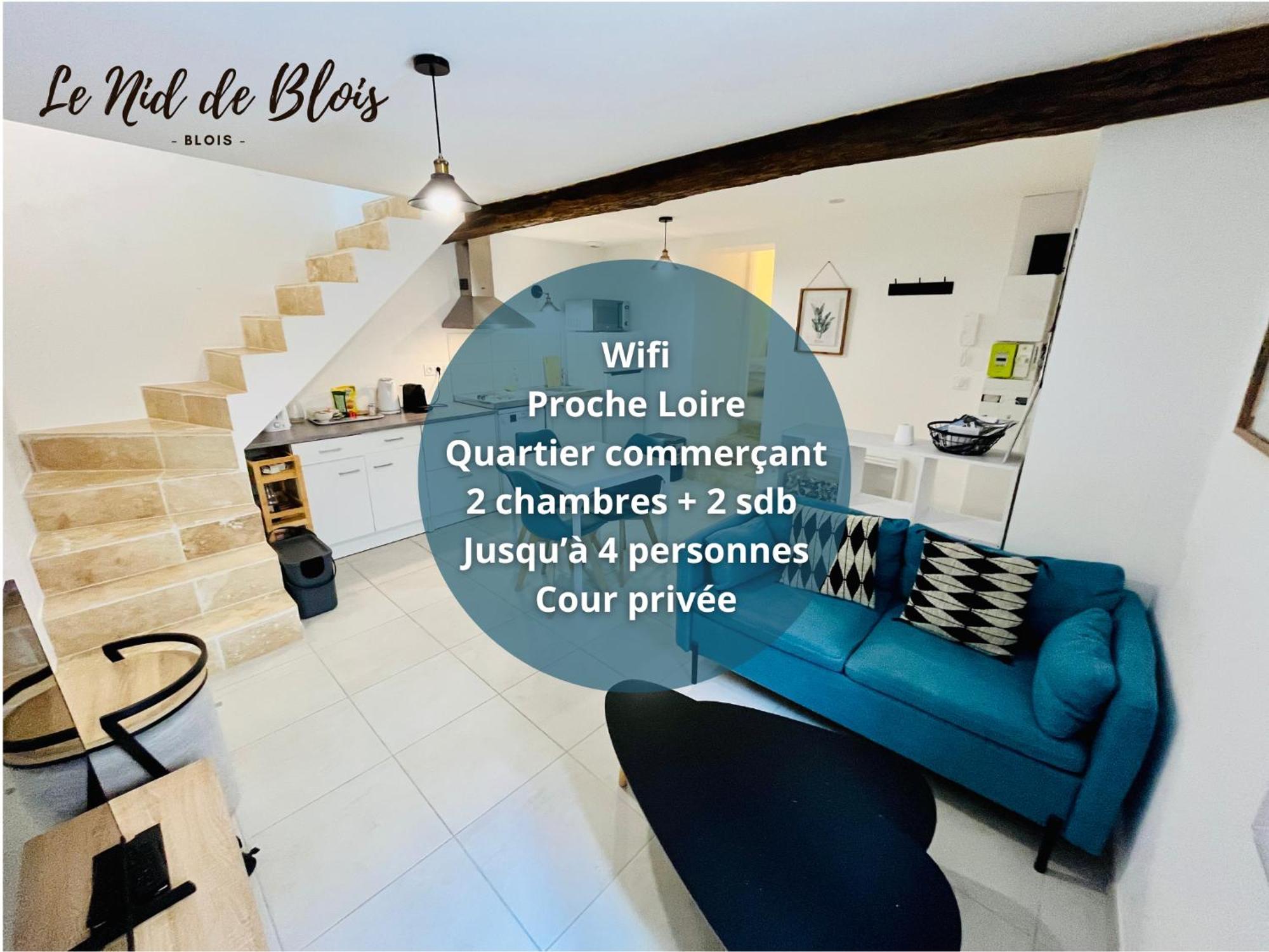 2 Suites, Cour Privee, Climatisation, Le Nid De Blois Vienne Eksteriør bilde